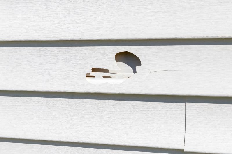Loose Siding Repair