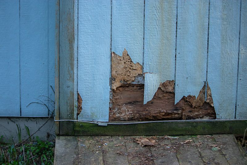 Loose Siding Repair