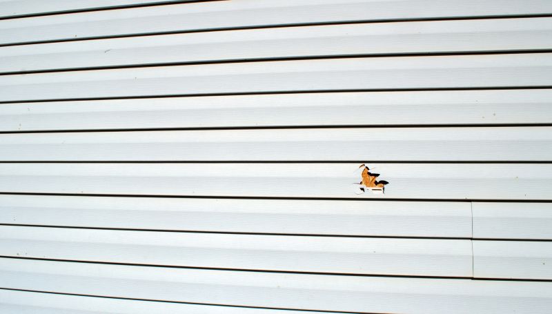 Loose Vinyl Siding Repair